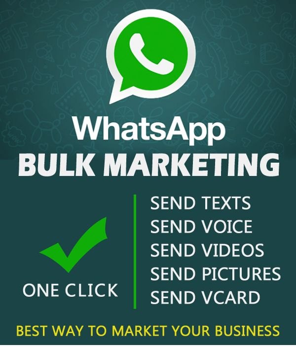 Bulk WhatsApp provider